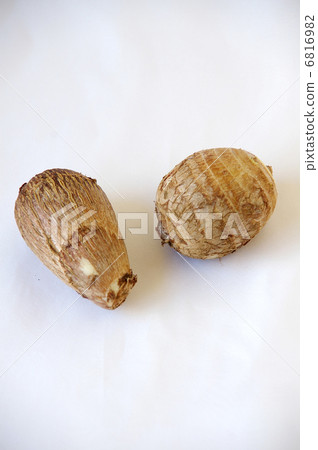 Taro 6816982