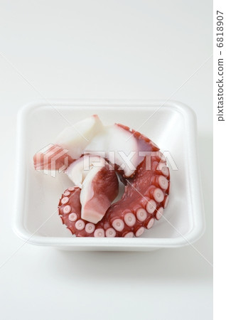 octopus octopus 6818907