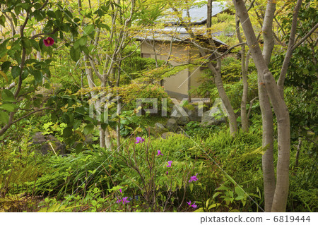 Sunpu公園 6819444