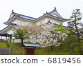 Sunpu城堡 6819456