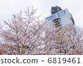 Sunpu公園 6819461