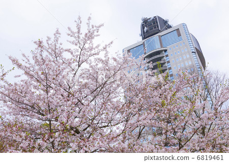 Sunpu公園 Sunpu公園 6819461