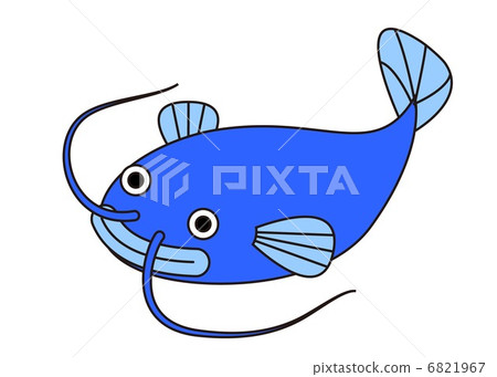 Catfish Catfish 6821967