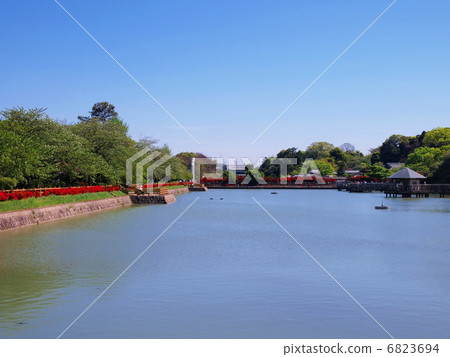 Nagaoka Tenmannu in early summer 6823694