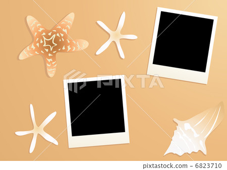Vector illustration of empty photos with starfishes and seashell near by on a sandy background  6823710