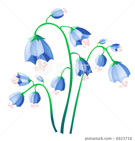 Vector illustration of blue bells isolate on background Vector illustration of blue bells isolate on background 6823718