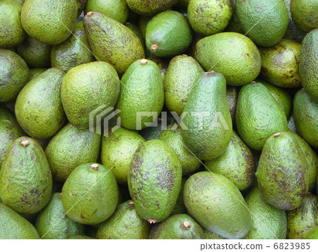 Avocado  6823985