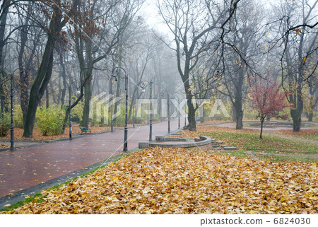 Autumn park 6824030