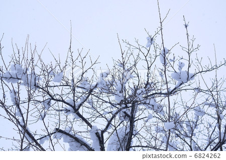 大雪地區 大雪地區 6824262
