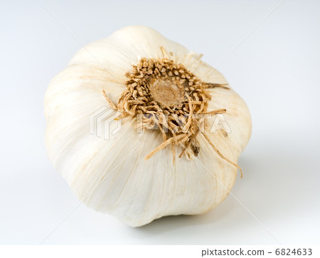 garlic bulb garlic bulb 6824633