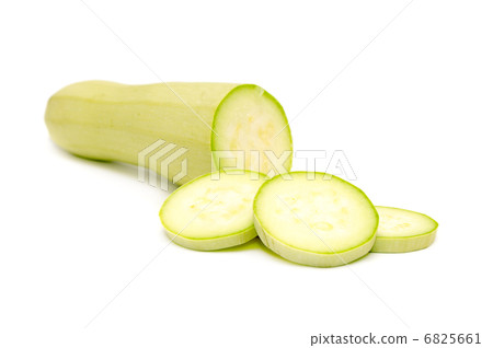 squash squash 6825661