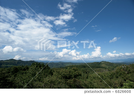 Forest of the view 6826608