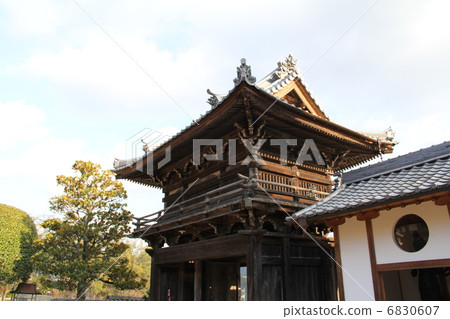 愛媛縣Koshoji 6830607