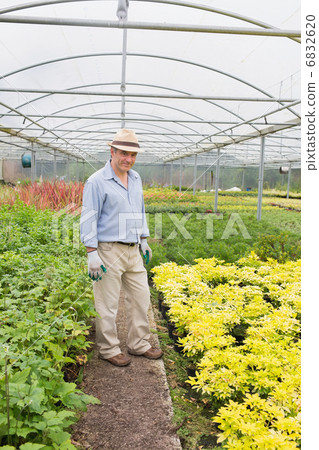 Smiling man standing in greenhouse 6832620