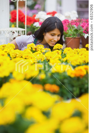 Woman smelling yellow flowers Woman smelling yellow flowers 6832906