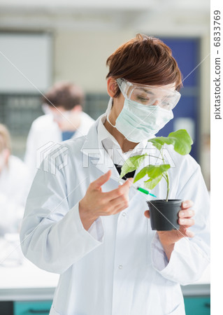 Woman standing at the laboratory holding a plant adding green ch 6833769