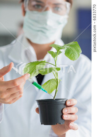 Woman holding a plant while injecting stalk 6833770