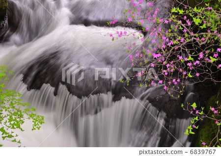 Waterfall and azalea Waterfall and azalea 6839767