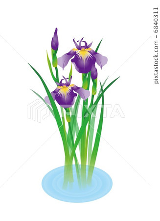 虹膜 虹膜 6840311