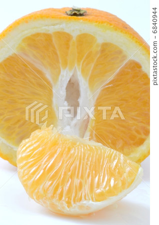 八朔 八朔 6840944