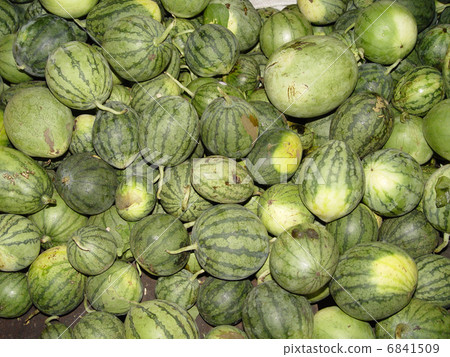 Watermelon sold in the market (Sihanoukville / Cambodia) Watermelon sold in the market (Sihanoukville / Cambodia) 6841509