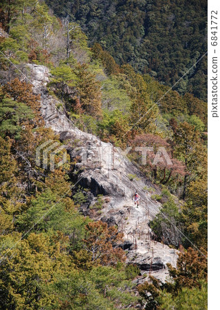 Trail running 6841772