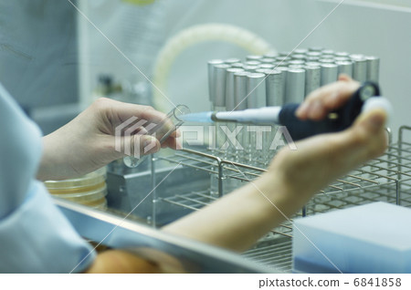 檢查與實驗 人們用微量移液器進行測試 臨床試驗與試劑 科學影像 影像材料 6841858