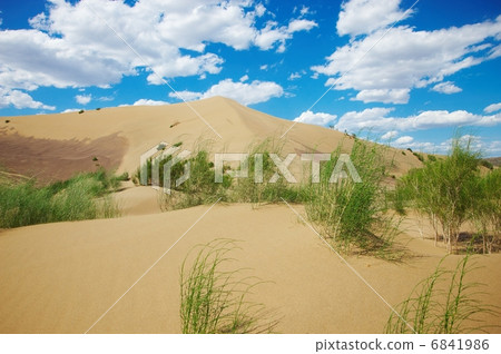 Hot sandy desert 6841986