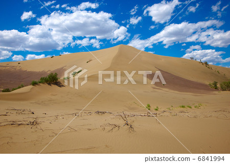 Hot sandy desert 6841994