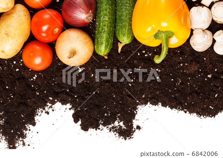vegetables on the soil 6842006