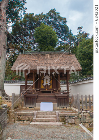 Saikaku Ohimoto Miya Tomiaki Corporation (Nakomiya Gen) 6842021