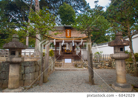 Saikaku Ohimoto Miya Tomiaki Corporation (Nakomiya Gen) 6842029