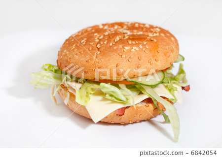 cheeseburger on the white plate cheeseburger on the white plate 6842054