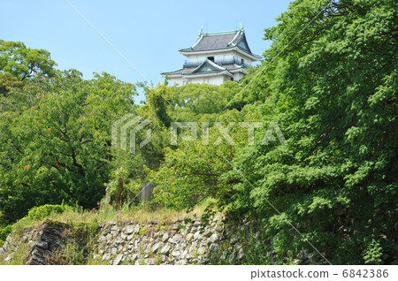 Wakayama Castle 6842386