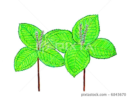 Second person 6843670