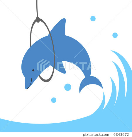 Crawl around dolphins 6843672