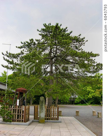 Noriyuki Tsuruga 6843793