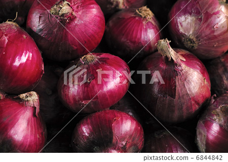 red onion 6844842