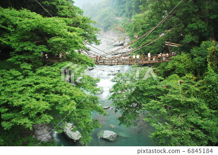 Kazura Bridge of Iya gorge Kazura Bridge of Iya gorge 6845184