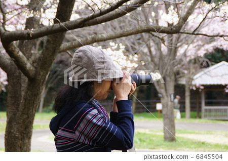 女攝影師 6845504