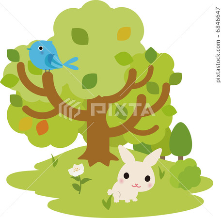 樹木,鳥類和兔子 樹木,鳥類和兔子 6846647