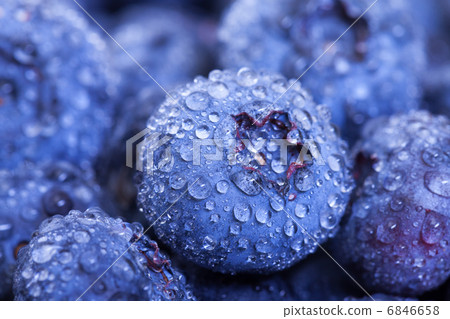 Wet Fresh Blueberries Berries 6846658