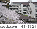 學校建築和櫻花 6846824
