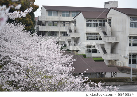 學校建築和櫻花 學校建築和櫻花 6846824