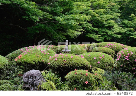 Shogendo of early summer Shogendo of early summer 6848872
