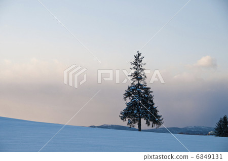 Snow Hill Dusk Biei Town 6849131