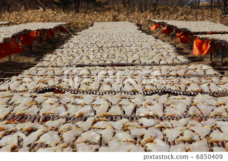 Dried cod Dried cod 6850409