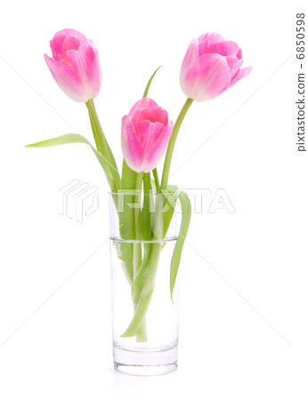 Pink tulips bouquet in vase isolated on white background Pink tulips bouquet in vase isolated on white background 6850598