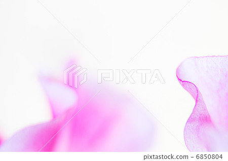彎曲的美 彎曲的美 6850804