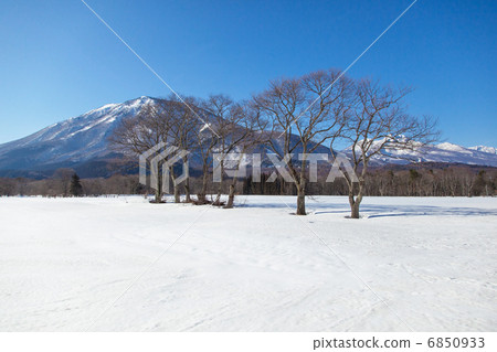 Black Mountains and the trees of the snowy field 6850933